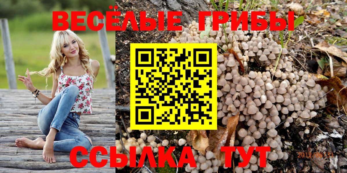 Галлюциногенные грибы Cubensis Новоалтайск