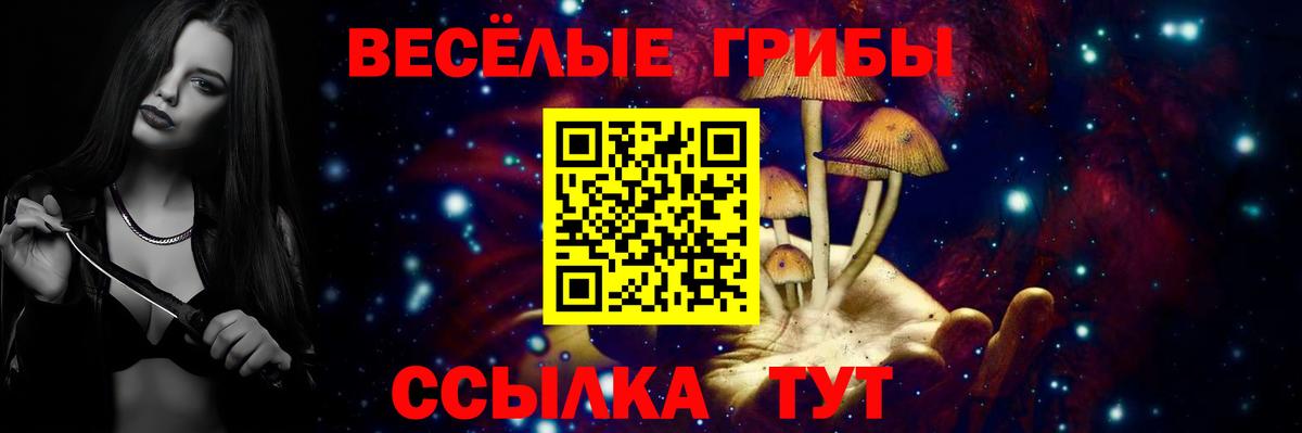 Галлюциногенные грибы прущие грибы  Вход с VPN  Новоалтайск 